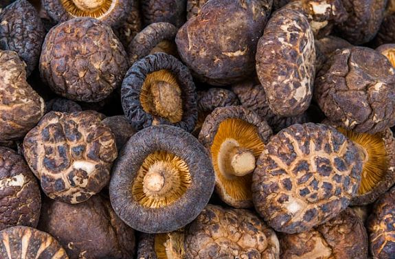 台灣海關檢疫香菇