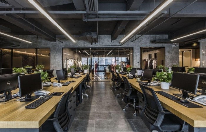 辦公室盆栽選擇