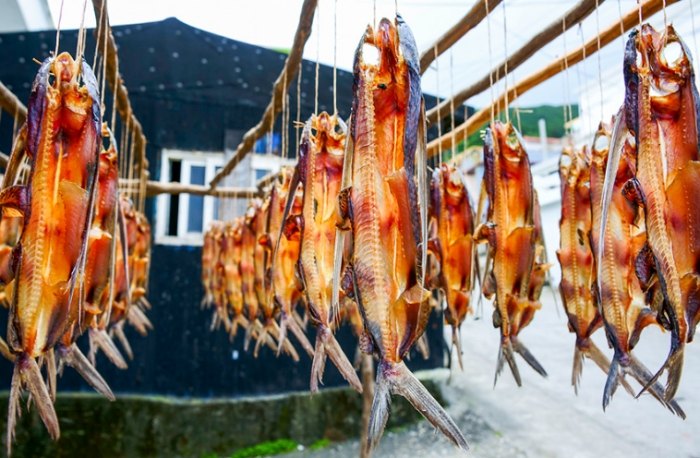 魚乾攜帶回台灣