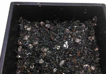 盆栽排水石 盆栽排水石