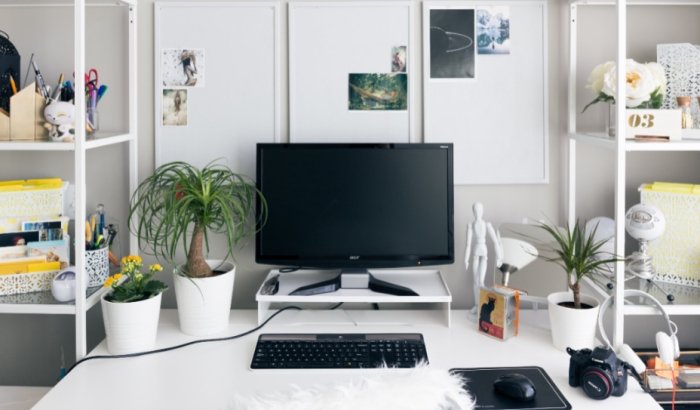 辦公桌植物推薦 辦公桌植物推薦