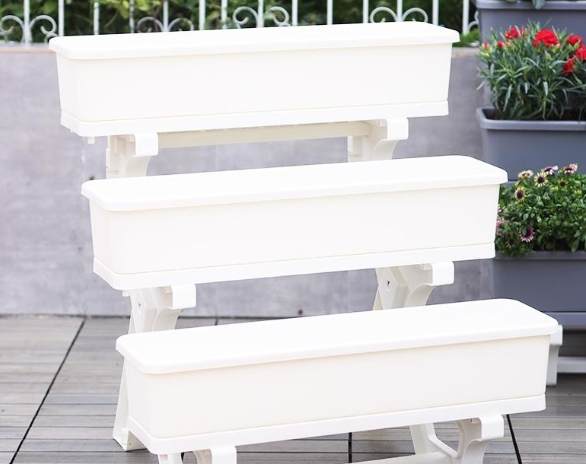 阳台种菜 阳台种菜