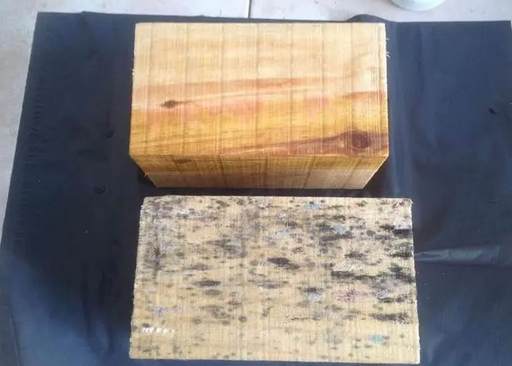 黑色霉斑清除 黑色霉斑清除