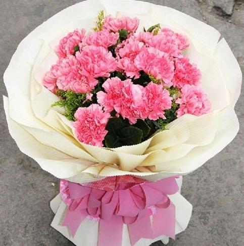 家庭象徵花卉 家庭象徵花卉