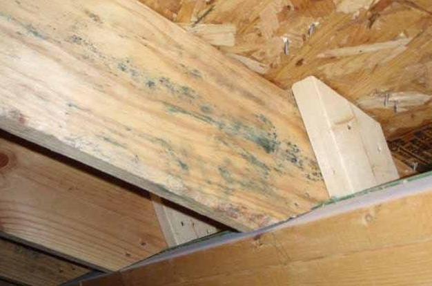 木製品發霉處理