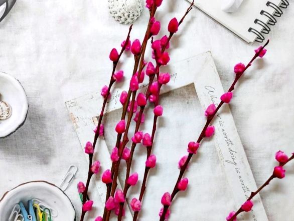 銀柳過敏預防 銀柳過敏預防