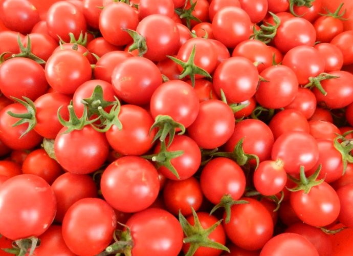 蕃茄營養價值 蕃茄營養價值