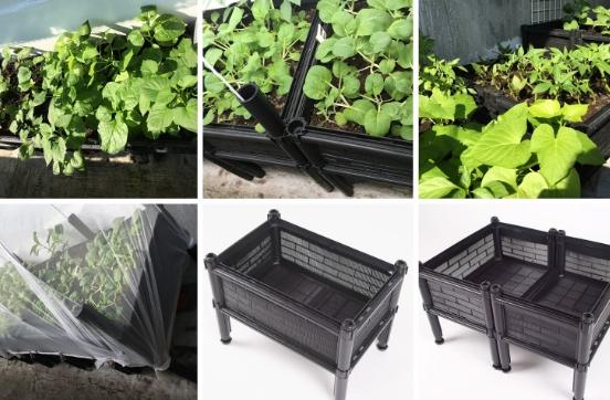 種菜盆器選擇