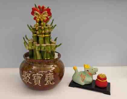 開運竹修剪方法