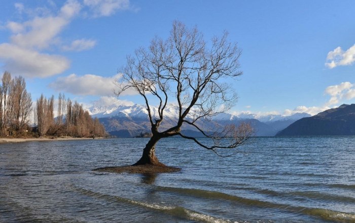 紐西蘭旅行費用