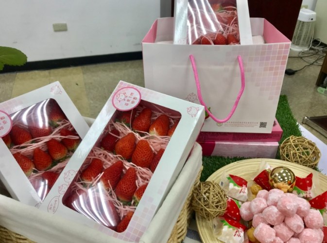 戀香草莓種子 種植