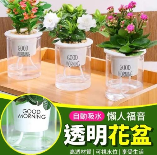 自動吸水花盆 使用指南 自動吸水花盆 使用指南
