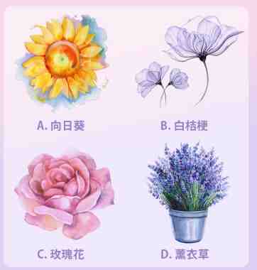 花語選擇指南