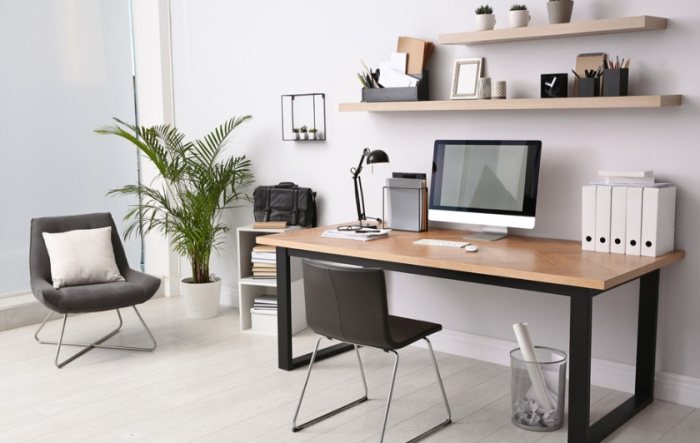 辦公桌植物推薦 辦公桌植物推薦