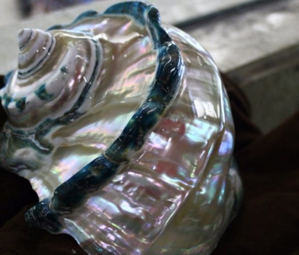 夜光貝打磨方法