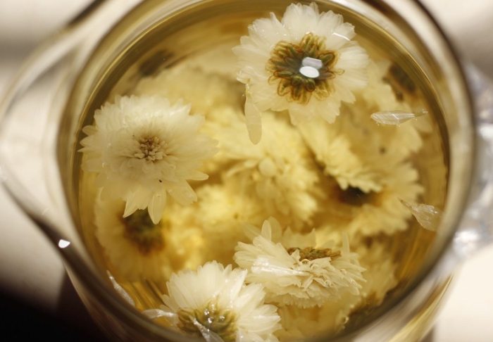 菊花茶副作用