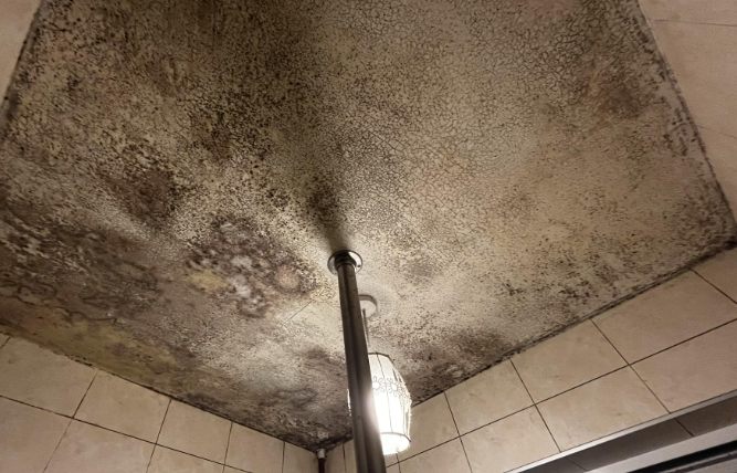 浴室天花板發霉清除