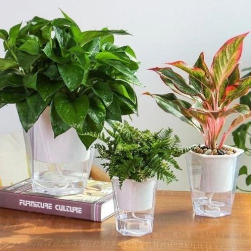 自动浇水花盆问题