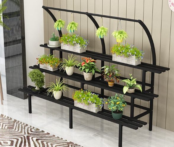 桌面植物選擇 桌面植物選擇