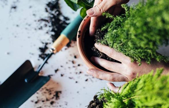 花盆底部不織布 花盆底部不織布