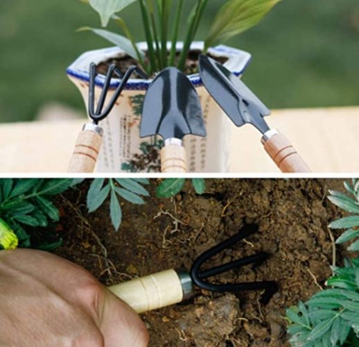 盆栽換土時機 盆栽換土時機