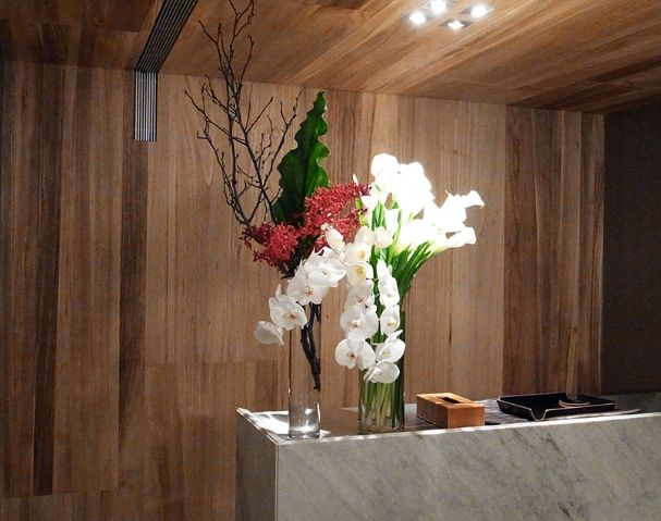 辦公室植物 辦公室植物