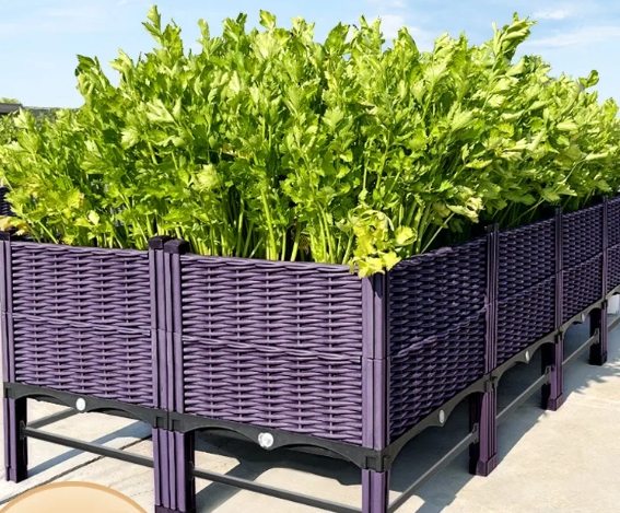 阳台蔬菜种植容器