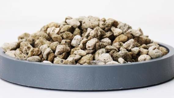 盆底石選擇 盆底石選擇