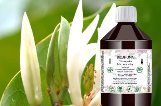 白玉蘭純露功效 白玉蘭純露功效