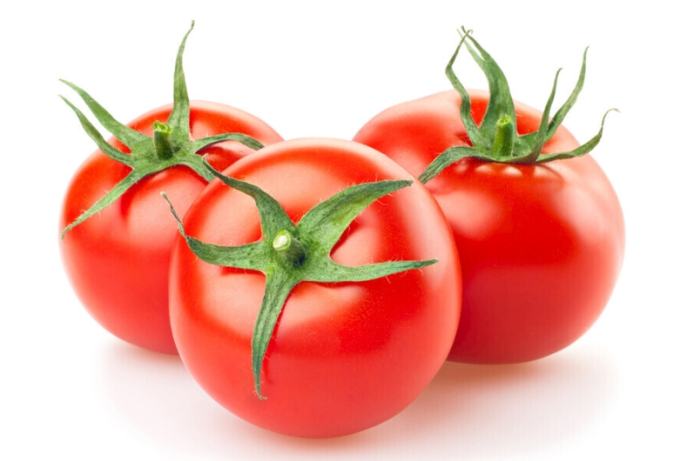 西红柿最适温度 西红柿最适温度