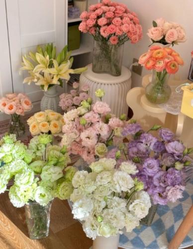 粉色洋桔梗送禮