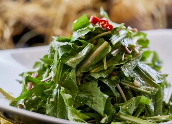 容易種植的蔬菜