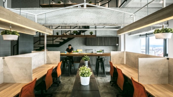 辦公室綠化植物 辦公室綠化植物