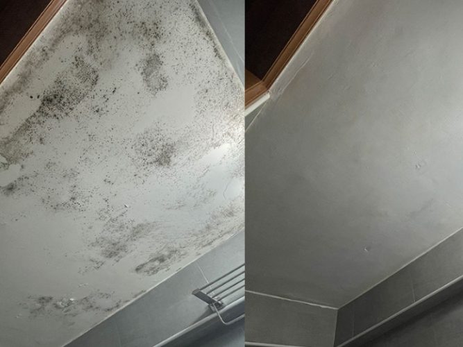 浴室天花板發霉處理