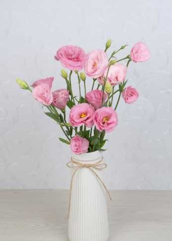 洋桔梗象徵意義