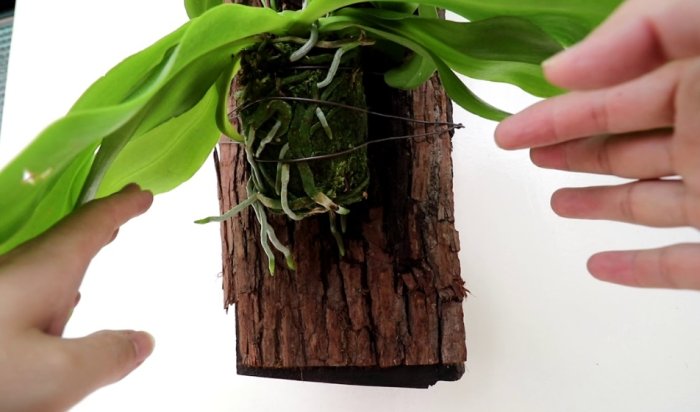 上板材料选择 上板材料选择