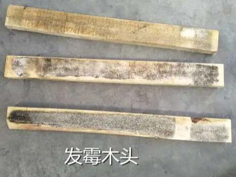 木材防霉方法