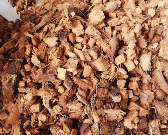 土壤過濕症狀 土壤過濕症狀