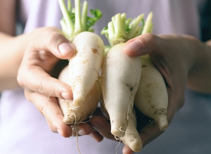 白蘿蔔禁忌中醫