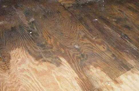 木頭發霉處理 木頭發霉處理