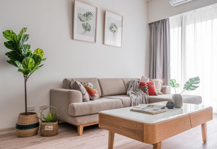 客廳適合的植物