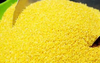 粟米營養價值 粟米營養價值
