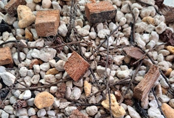 蝴蝶蘭栽培介質 蝴蝶蘭栽培介質