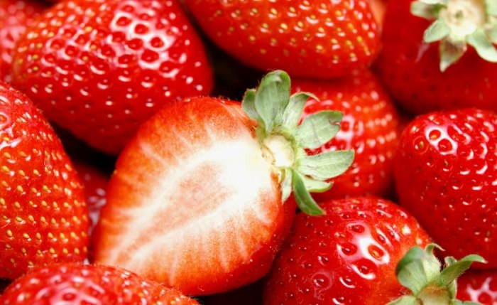 紅顏草莓種植技巧 紅顏草莓種植技巧