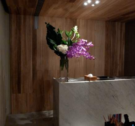 辦公室植物 辦公室植物