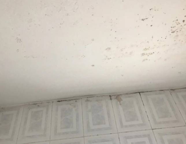 天花板霉斑清除