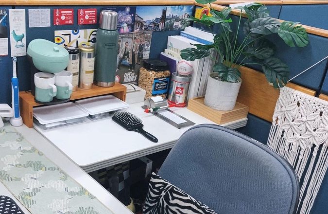 辦公室盆栽選擇