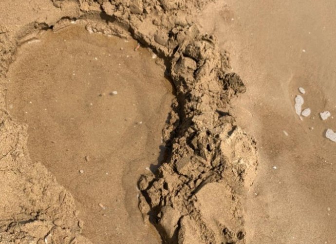 帶沙子回台灣規定