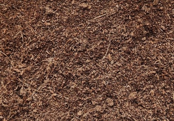 培養土太濕處理 培養土太濕處理