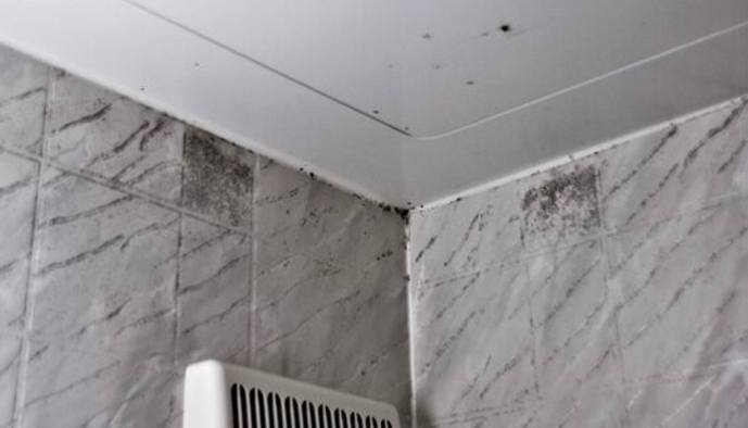 矽利康發霉處理